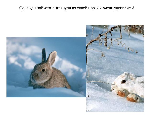 Презентация к уроку по развитию речи (младшая группа) на тему: Зима Показ о зиме. представление о зиме