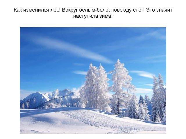 Презентация к уроку по развитию речи (младшая группа) на тему: Зима Показ о зиме. представление о зиме