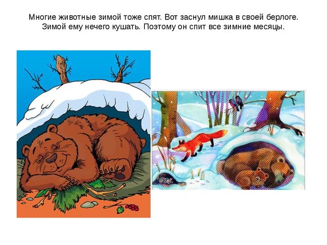 Презентация к уроку по развитию речи (младшая группа) на тему: Зима Показ о зиме. представление о зиме