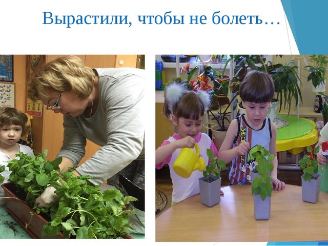Презентация "Волшебница вода" по окружающему миру (познавательное развитие детей дошкольного возраста)