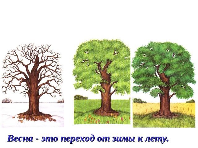 Презентация на тему: "Весна". Подготовительная группа.