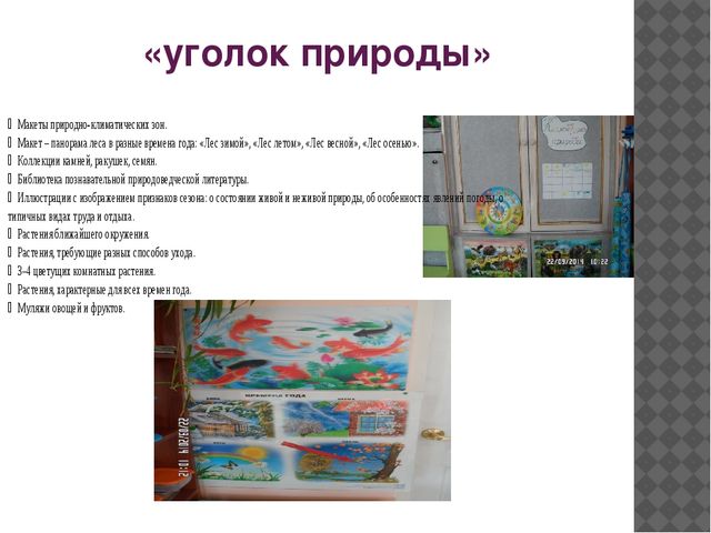 Презентация на тему "Предметно-пространственная развивающая среда"