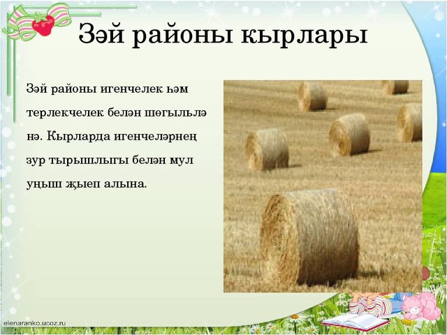 Презентация " Родной город - Заинск"