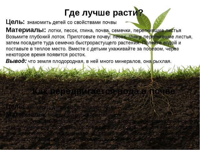 Картотека опытов и экспериментов