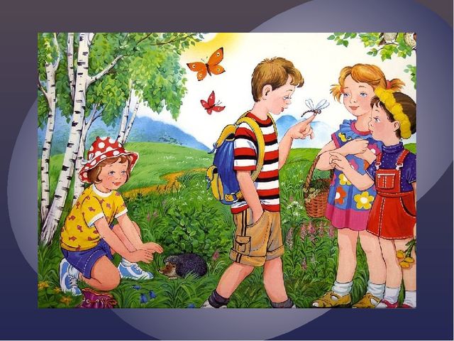 Вот и лето пролетело