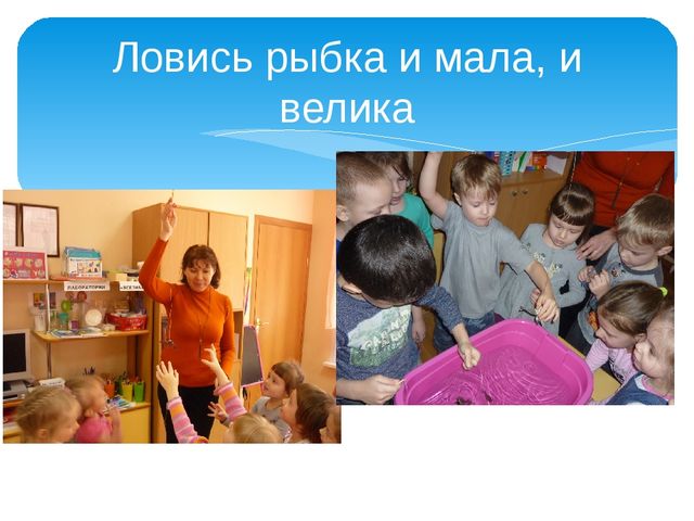 Презентация на тему "Экспериментирование с детьми дошкольного возраста" (старшая группа)