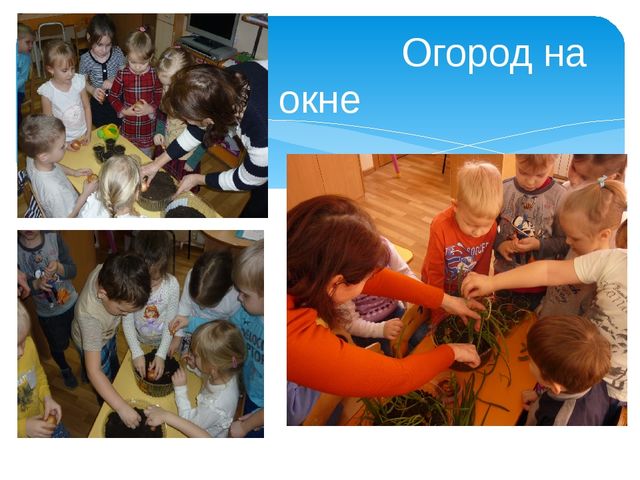Презентация на тему "Экспериментирование с детьми дошкольного возраста" (старшая группа)