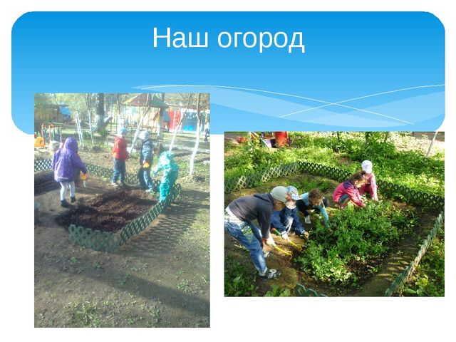Презентация на тему "Экспериментирование с детьми дошкольного возраста" (старшая группа)