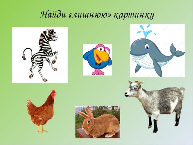 Презентация к занятию в группе предшкольной подготовки "Буква К"