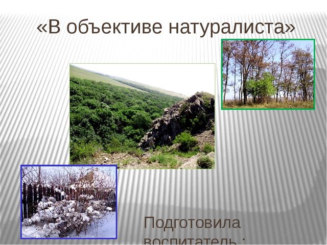 Призентация по ознакомлению с природой "Времена года"(старшая группа)
