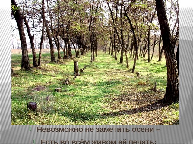 Призентация по ознакомлению с природой "Времена года"(старшая группа)