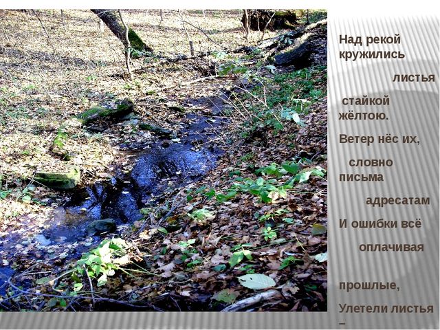 Призентация по ознакомлению с природой "Времена года"(старшая группа)