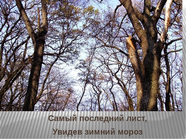 Призентация по ознакомлению с природой "Времена года"(старшая группа)