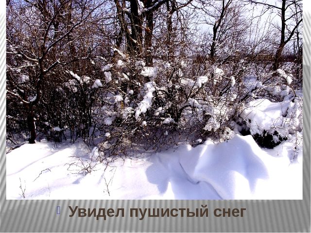 Призентация по ознакомлению с природой "Времена года"(старшая группа)