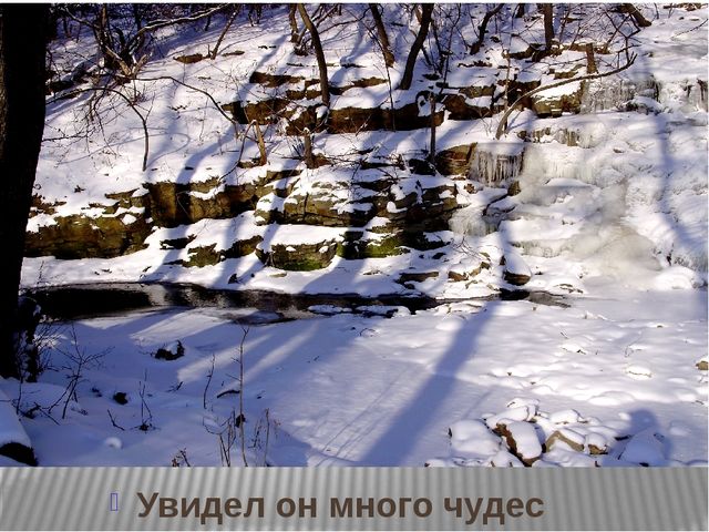 Призентация по ознакомлению с природой "Времена года"(старшая группа)