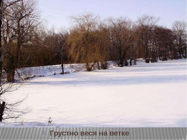 Призентация по ознакомлению с природой "Времена года"(старшая группа)