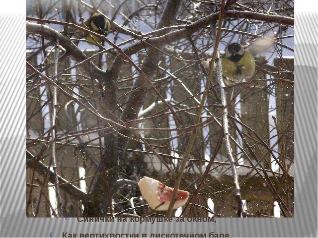 Призентация по ознакомлению с природой "Времена года"(старшая группа)