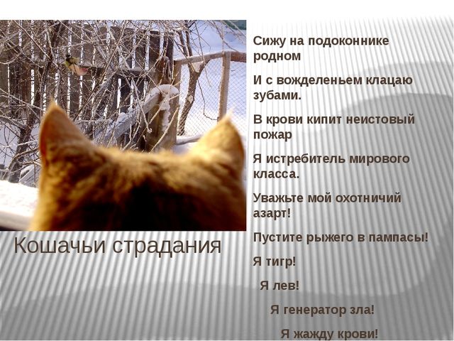 Призентация по ознакомлению с природой "Времена года"(старшая группа)