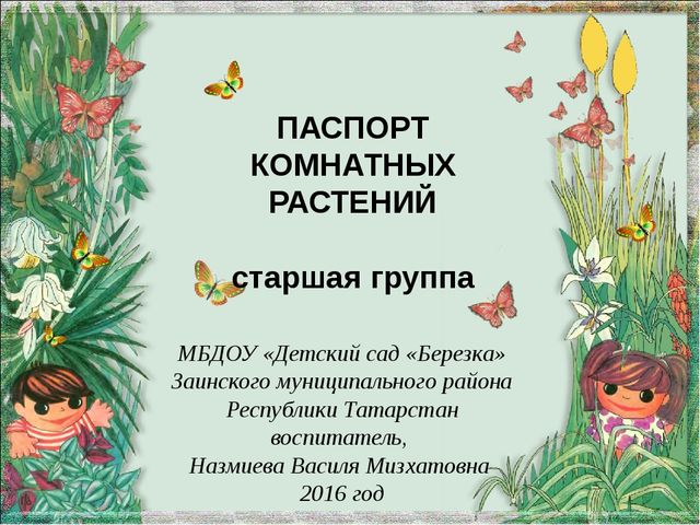 Презентация "Паспорт комнатных растений"