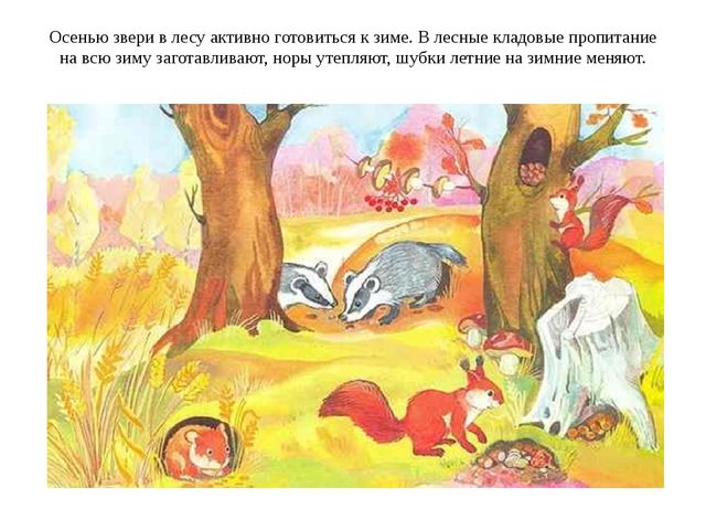 Презентация по познавательному развитию на ему: "Как птицы и звери к зиме готовятся"