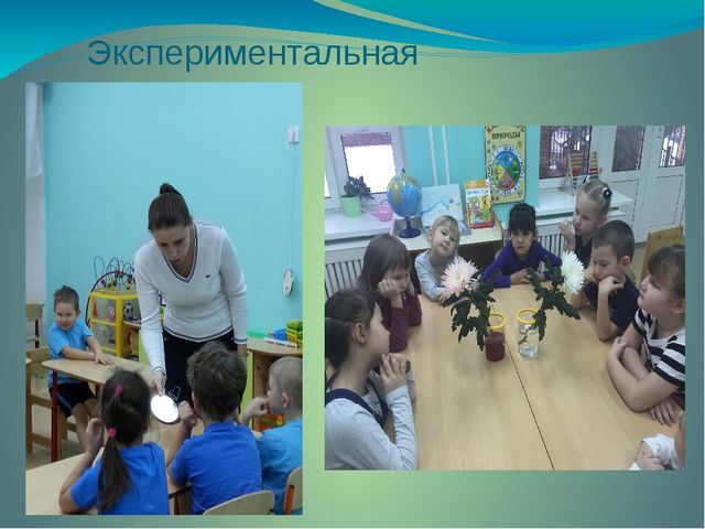Презентация экологического проекта "Друзья природы"
