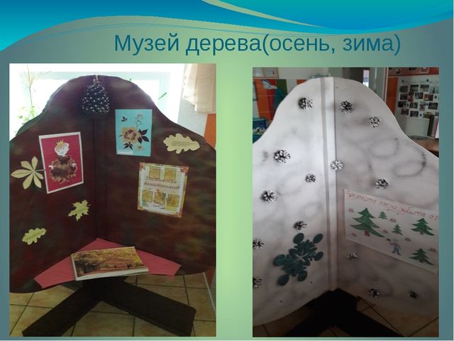 Презентация экологического проекта "Друзья природы"