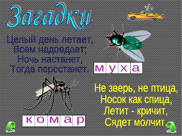 Презентация для детей закадки