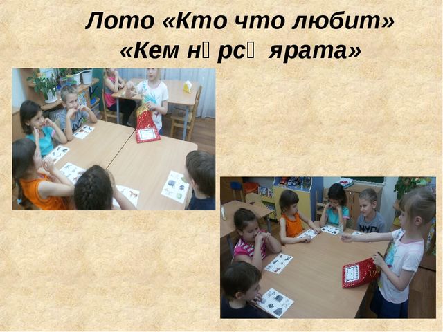 Презентация "Роль дидактических игр по обучению детей татарскому языку в условиях ФГОС"