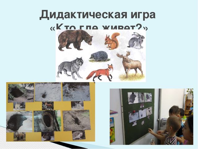 «Интегрированный подход при реализации образовательной области «Речевое развитие» в контексте ФГОС»