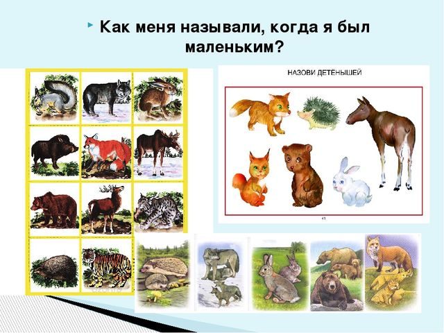 «Интегрированный подход при реализации образовательной области «Речевое развитие» в контексте ФГОС»