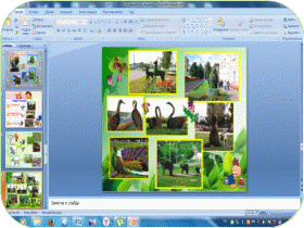 Picture 5