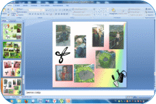 Picture 6