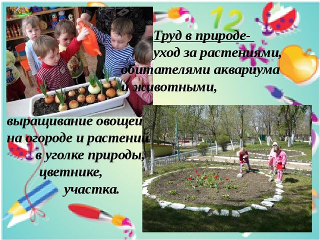 Презентация "Трудовое воспитание детей"