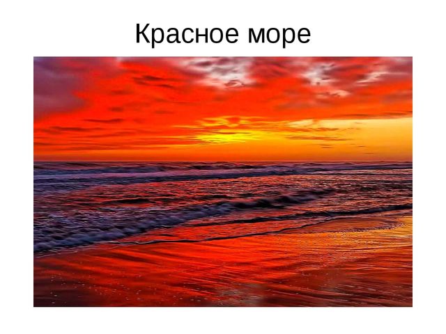 Презентация "Виды морей", можно использовать в качестве наглядного материала.