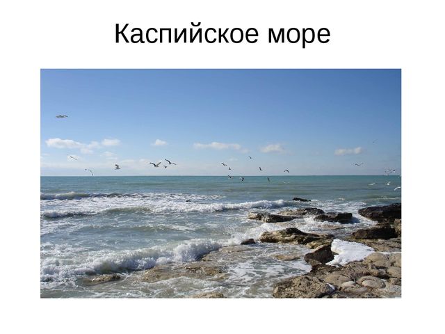 Презентация "Виды морей", можно использовать в качестве наглядного материала.