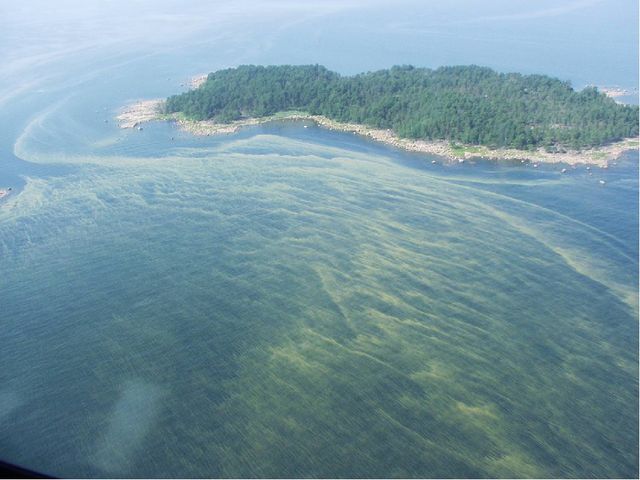 Презентация "Виды морей", можно использовать в качестве наглядного материала.