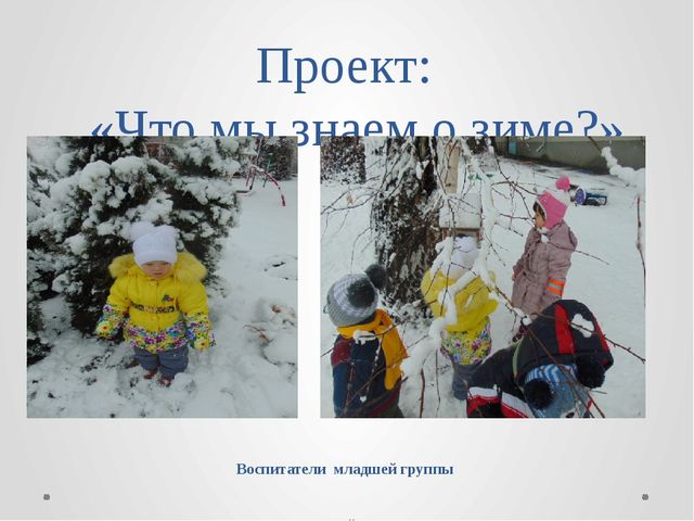 Презентация младшая группа "Что мы знаем о зиме"