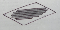 Shape21
