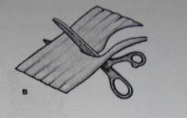 Shape22