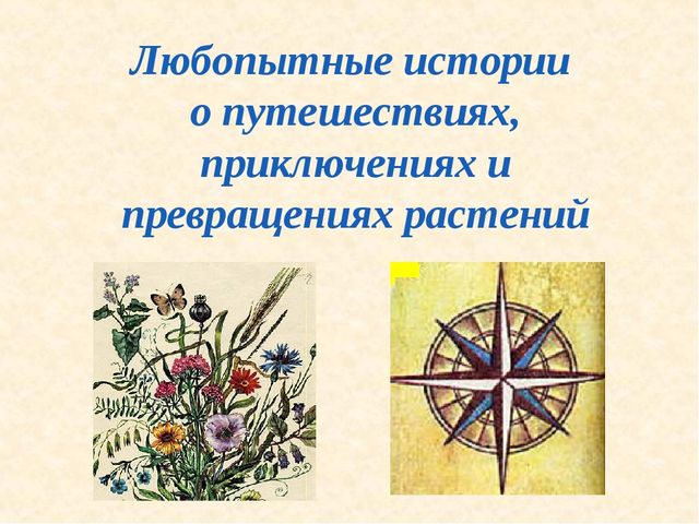 Презентация "Все о растениях"