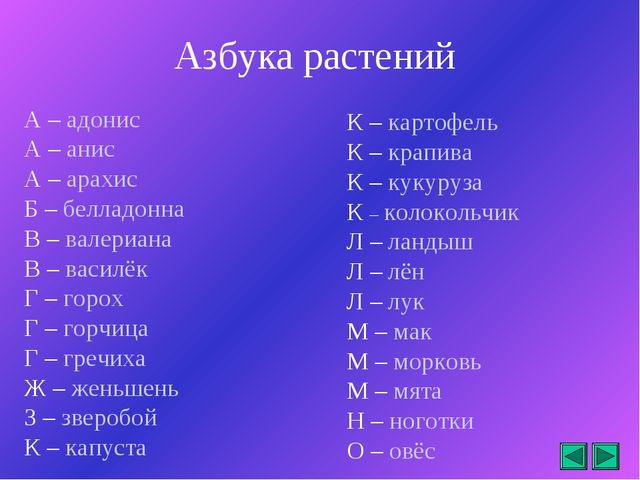 Презентация "Все о растениях"