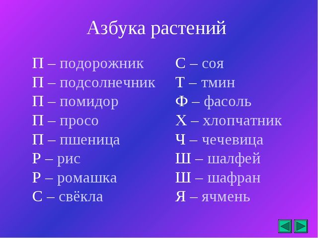 Презентация "Все о растениях"