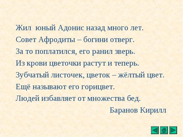 Презентация "Все о растениях"