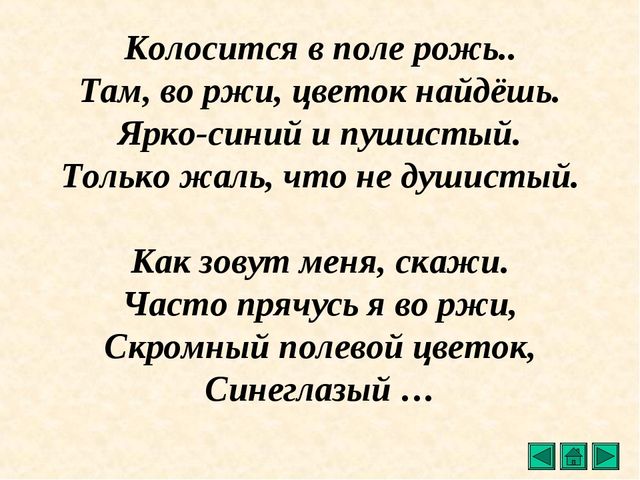 Презентация "Все о растениях"
