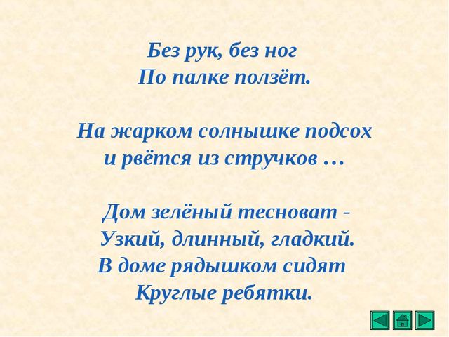 Презентация "Все о растениях"