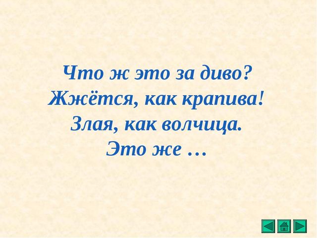 Презентация "Все о растениях"