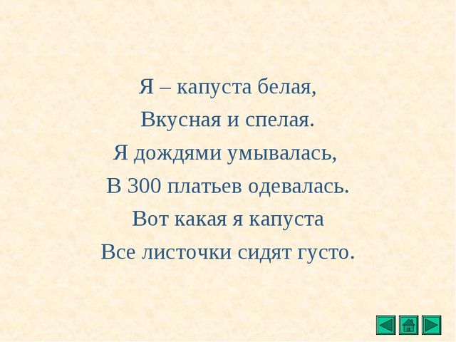 Презентация "Все о растениях"