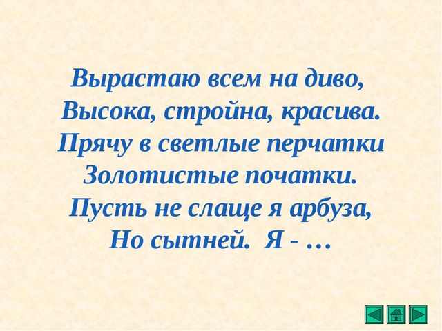 Презентация "Все о растениях"