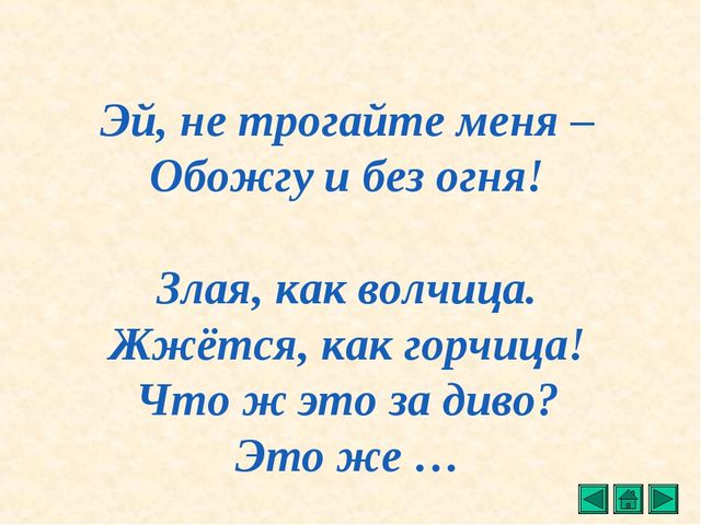 Презентация "Все о растениях"