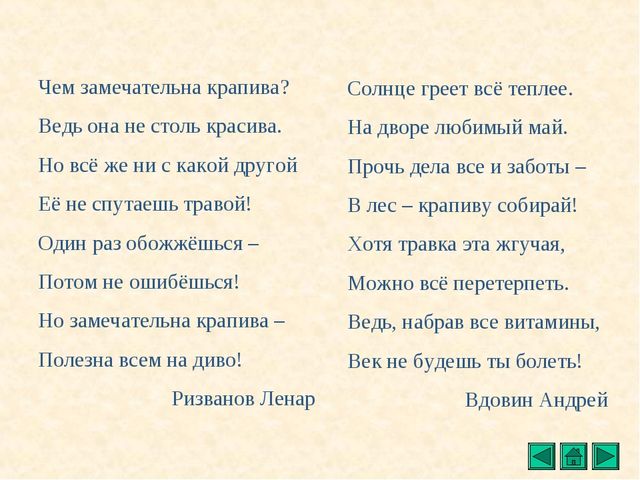 Презентация "Все о растениях"